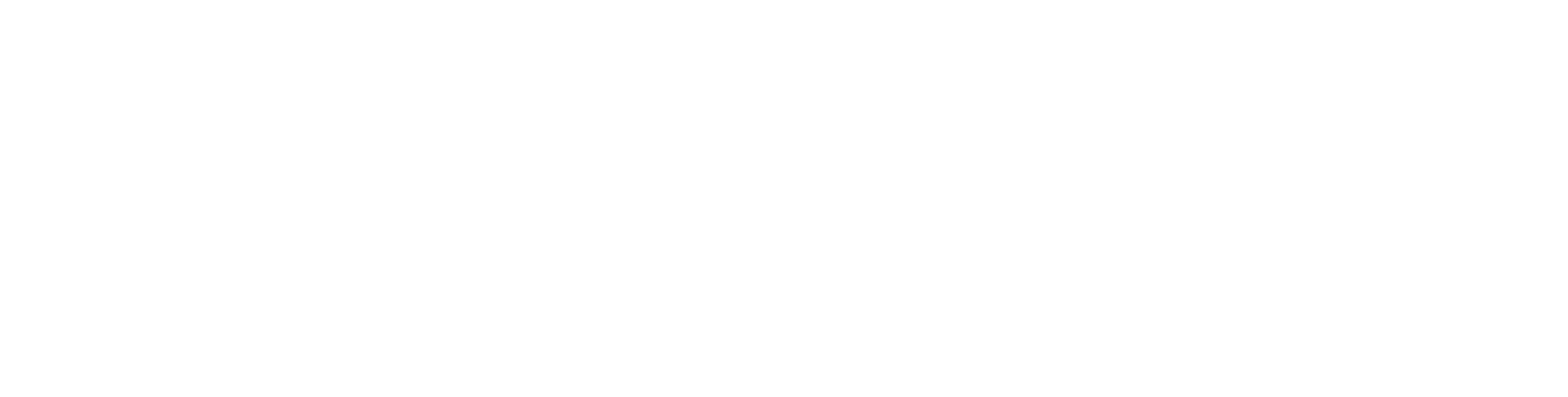 Logo Branca Carteira Azul